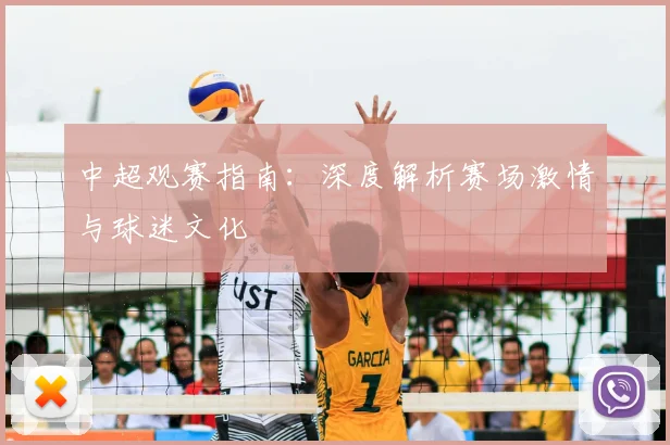 中超观赛指南：深度解析赛场激情与球迷文化